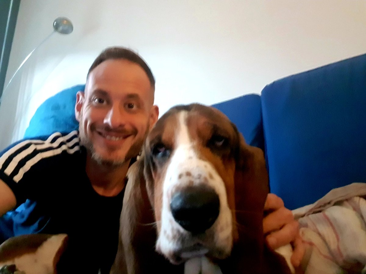 zonadeGuillermo's tweet photo. #micompi #coronavirus #secuestrados #erespreciosa #bassethound #sevilla #laPepasiqueestabien https://t.co/qYw2PwvqKp