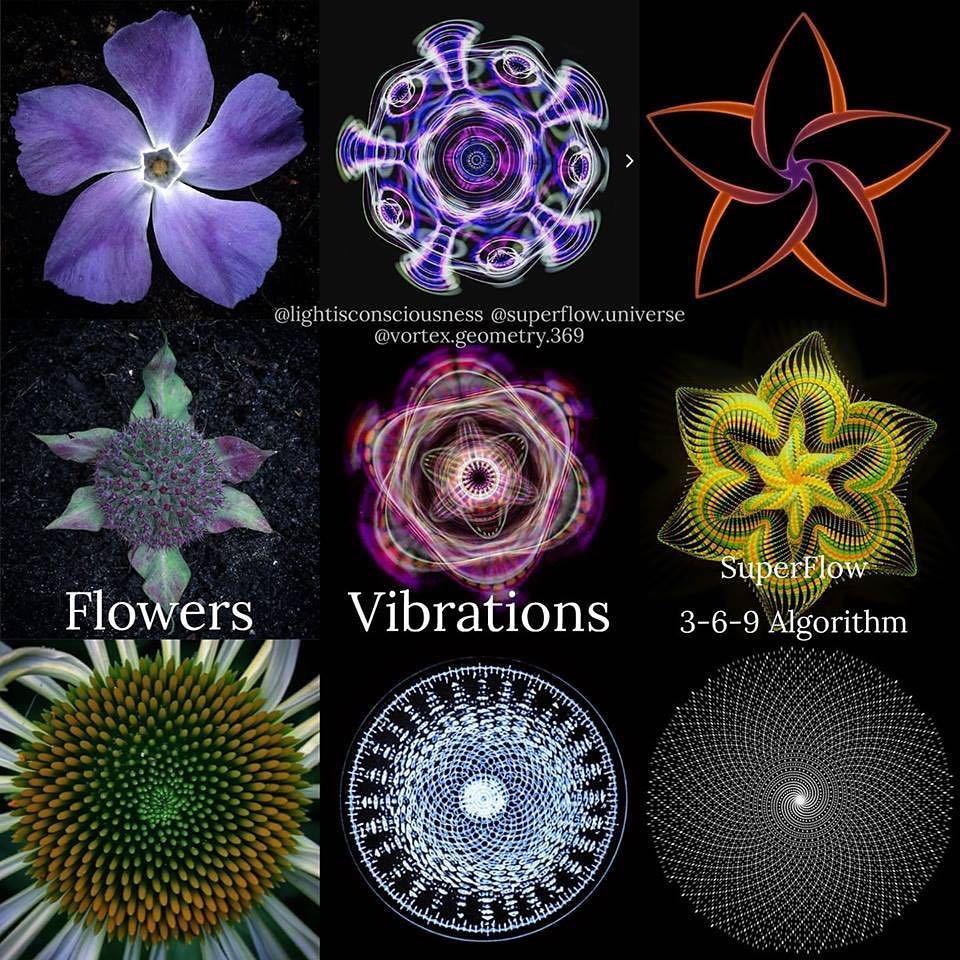 Geometri ve Titreşim