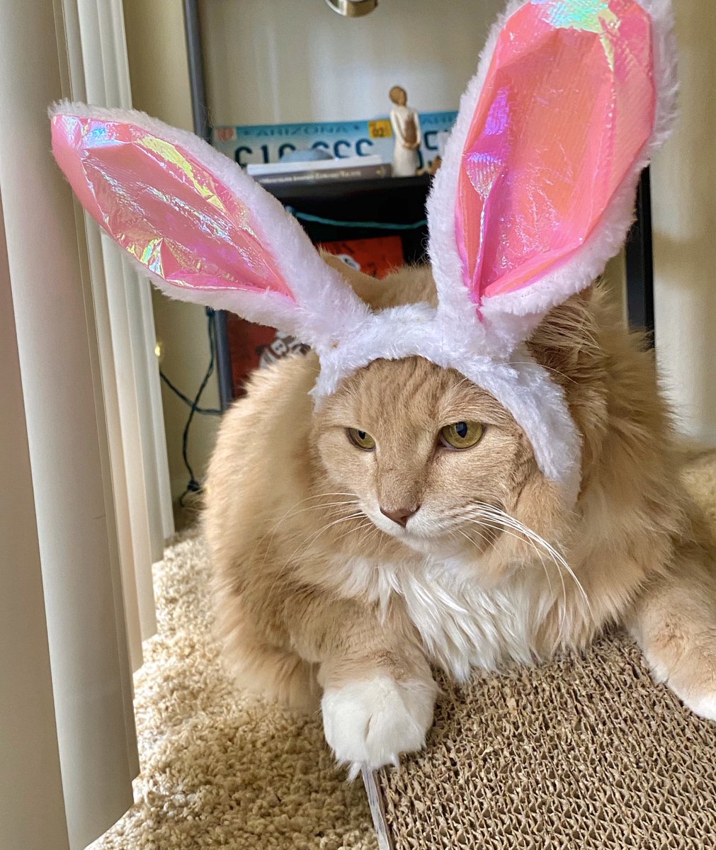happy easter