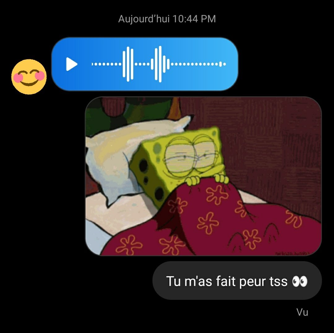 Parce que la memerie n'est jamais fini . Bref il parle que en messages vocaux donc ça sert à rien que je vous fasse des screens là mdrr