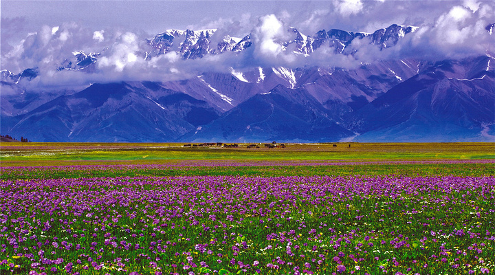 alyssaaaa1121's tweet photo. Welcome to #China
Xinjiang Province https://t.co/JvwR5T6rUL