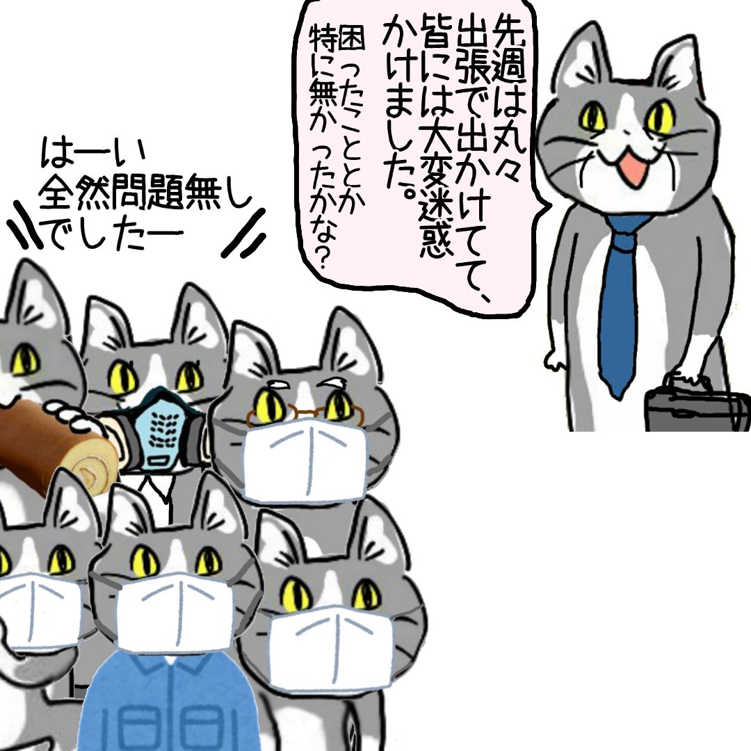 弊社の日常 #現場猫 