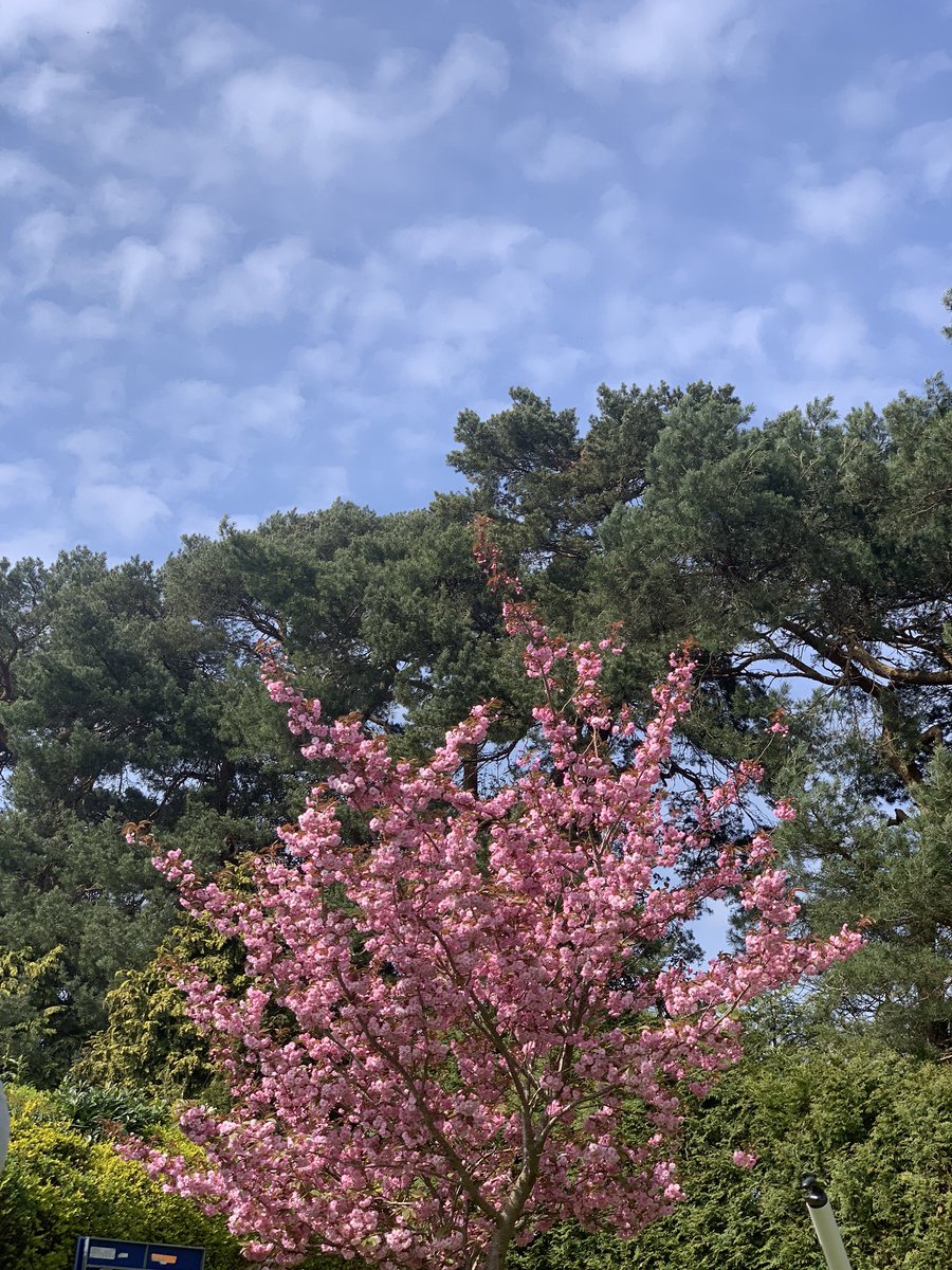 #weathefromyourwindow