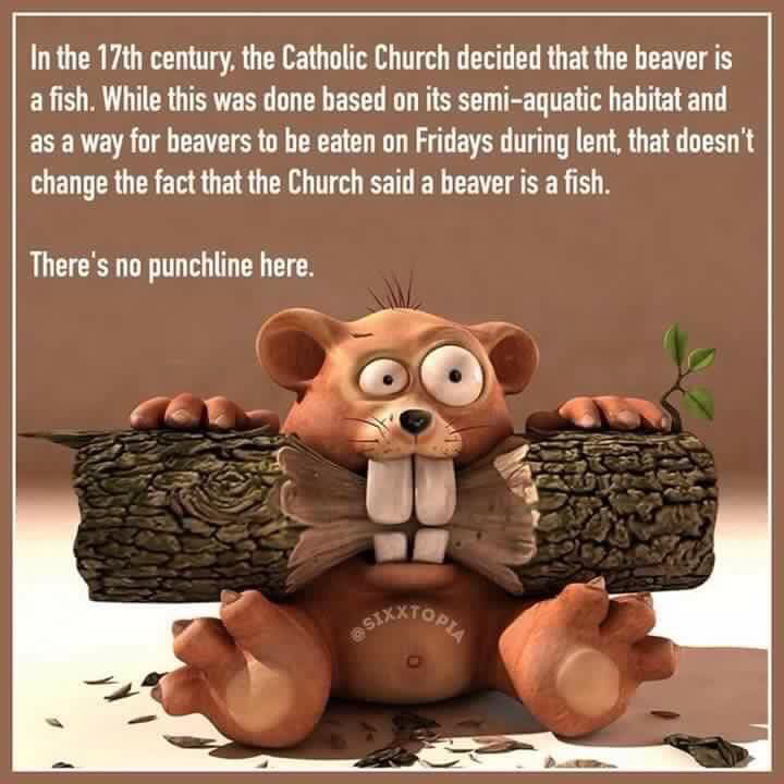 jesusintoast's tweet photo. Happy Lent
#Yeaster
#easter
Atheist stuff https://t.co/wEUE5n9p7K https://t.co/1GLZn63UiH