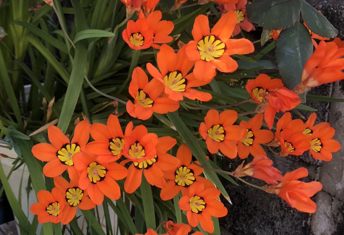 チカラにかえて