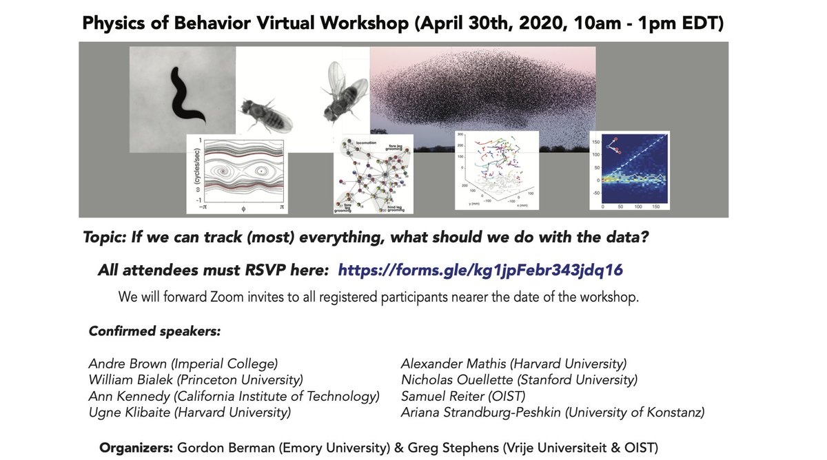 Excited to announce that we'll be organizing a virtual workshop on the Physics of Behavior on April 30th from 10am - 1pm EDT (co-organized by @greg_stephens and myself). Focused on the topic “If we can track (most) everything, what can we do with the data?”