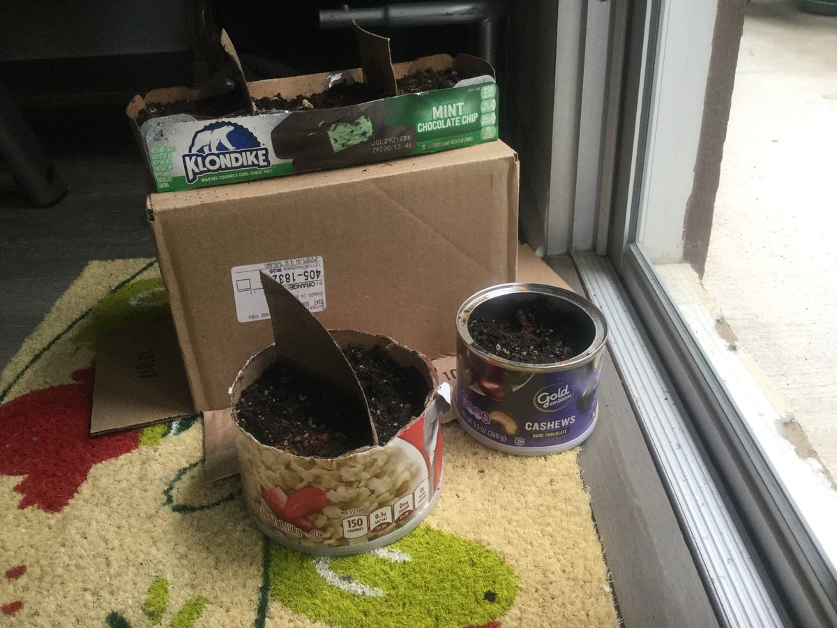 “Gardening is expensive”Um...nope. My seed starting containers, thanks to  @Klondikebar,  @Target Market Pantry brand oatmeal, and  @cvspharmacy Gold Emblem brand chocolate covered cashews. (We are basic in this house, y’all.)