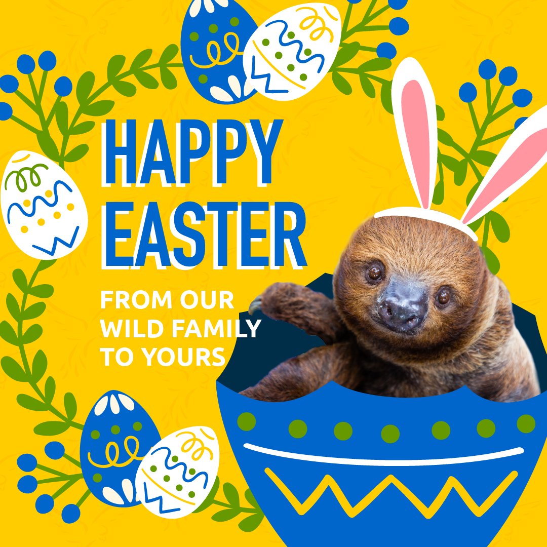 Wishing you all a safe, healthy, and Happy Easter! 🐰

#HappyEaster #EasterSloth