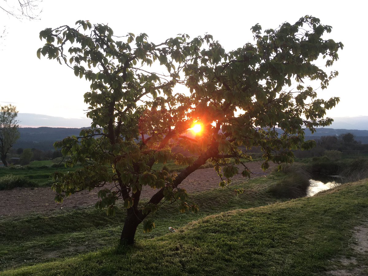 AutoOlost's tweet image. Us desitgem que acabeu de passar molt bon diumenge i dilluns de Pasqua!  Us recordem que dimarts tornem a la feina a porta tancada.Salut per tothom. #ensensortirem #totaniràbé