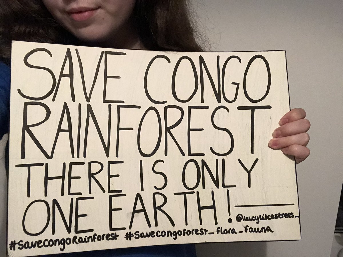Day 83 of #SaveCongoRainforest! This land needs protection... end of!!!! 💚#SaveCongoForest_Flora_Fauna #DRC #Savetherainforests @vanessa_vash @Remy_Zahiga @Greenpeaceafric @GreenpeaceUK @_carbontiptoes @e_thunter @ElmGrace @anna_lyndsay_ @AnastasiaGlazk1  @Almamy__ @OwlBlk