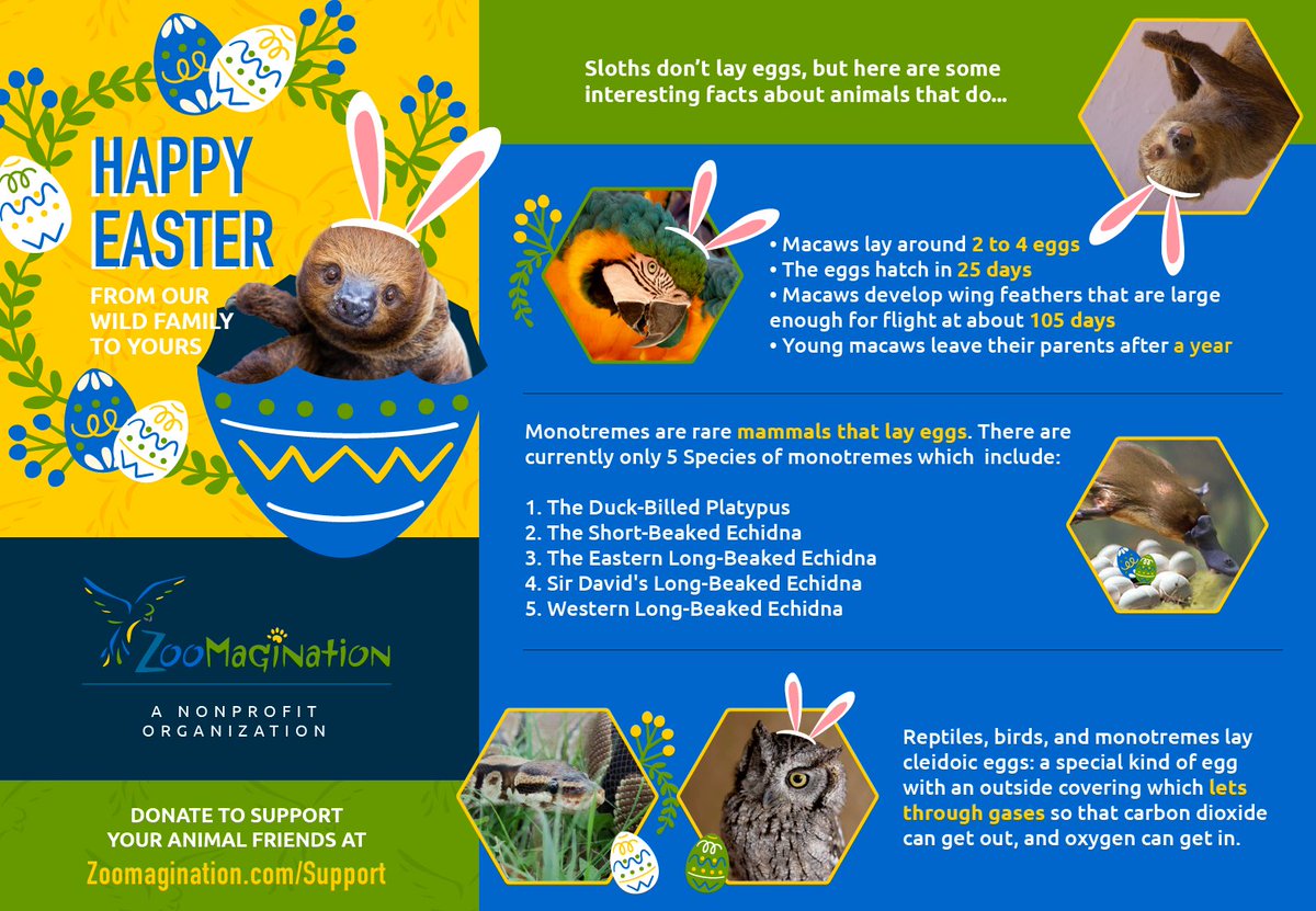 Here are some Fun Facts for this Easter #SundayFunday ! Learn a few interesting things about #eggs and the #animals that lay them.  

#HappyEaster