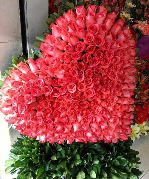 شوف الزهور واتعلم (@ebtsamyounis) on Twitter photo 