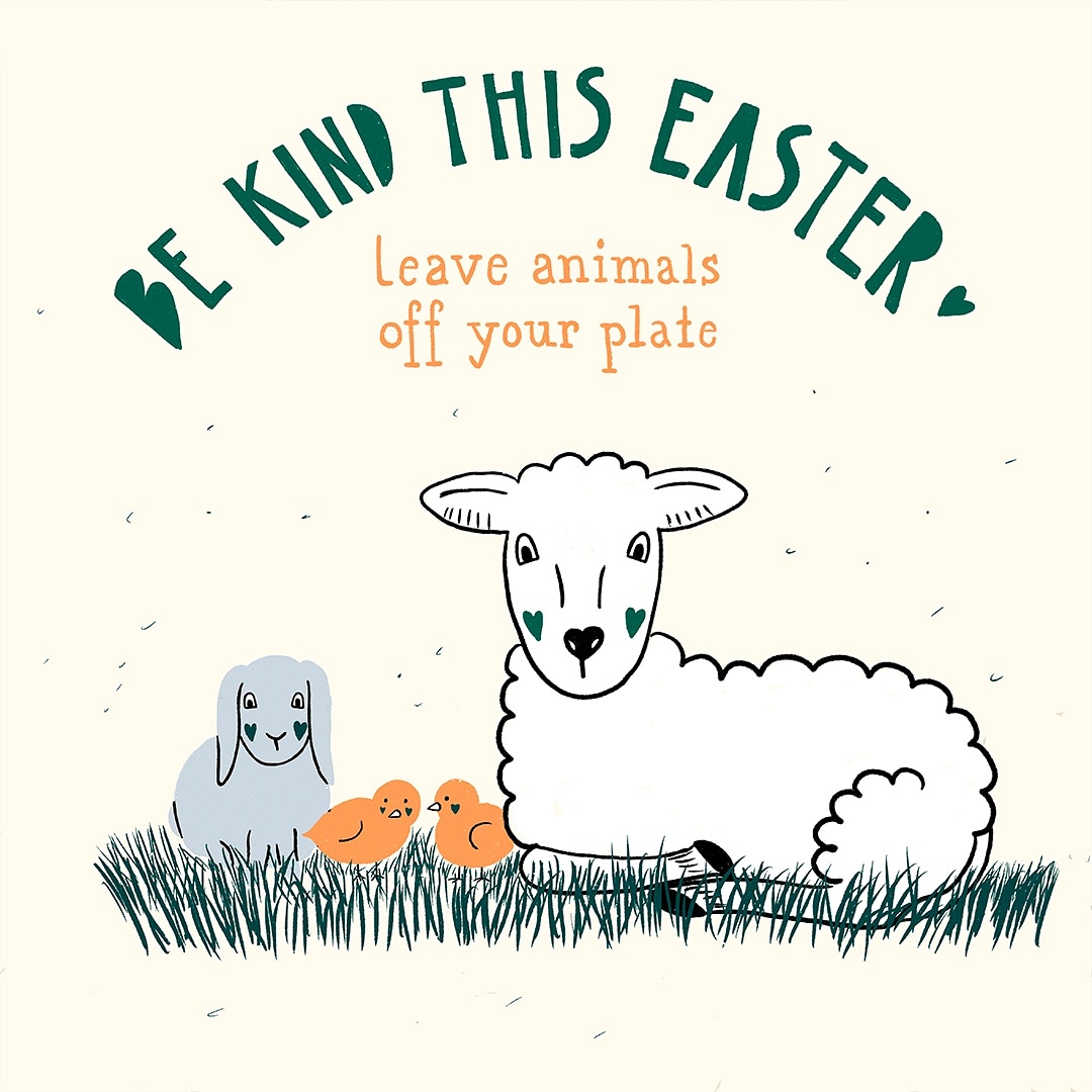 ... and for the rest of your life! How can we celebrate life by consuming so much death?
.
#happyeaster #easter #govegan #makepeace #easterlamb #eggs #bunny #rabbit #lamb #chicken #artist #bekind #bekindtoallkinds #vegan #veganartivism #veganactivist #artivism #art