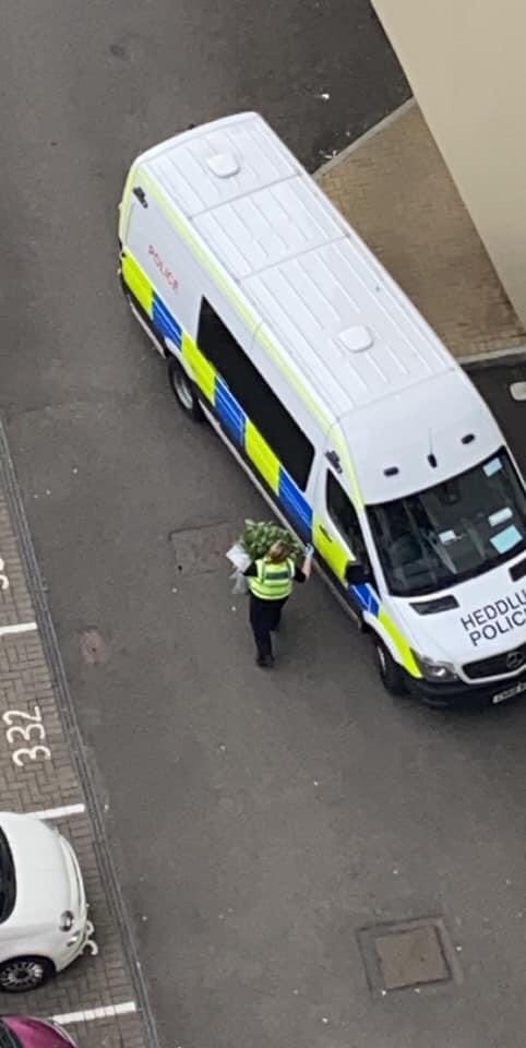Update photo of the police removing the cannabis from the casserole apartment, truly incredible scenes