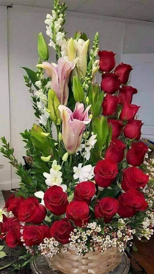 شوف الزهور واتعلم (@ebtsamyounis) on Twitter photo 