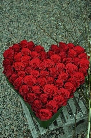 شوف الزهور واتعلم (@ebtsamyounis) on Twitter photo 