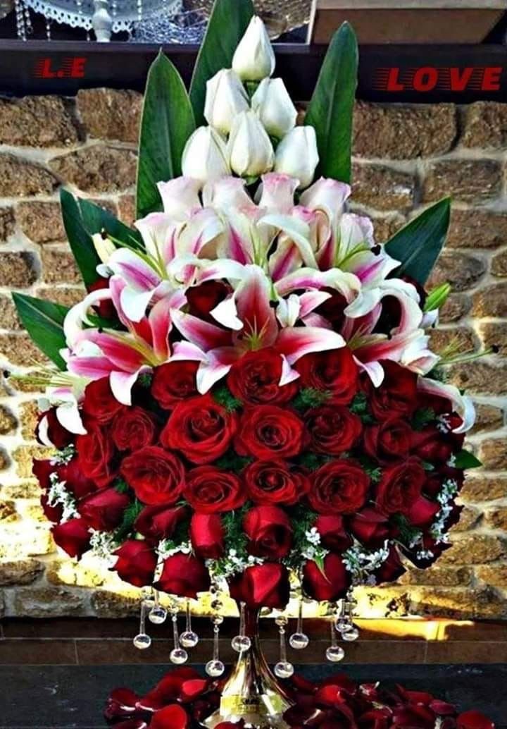 شوف الزهور واتعلم (@ebtsamyounis) on Twitter photo 
