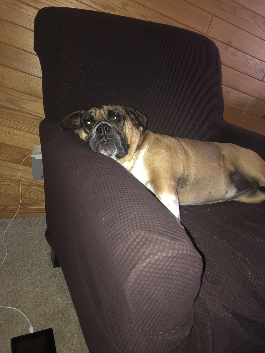 Blockdad1's tweet image. Ugh are you still here???!!!