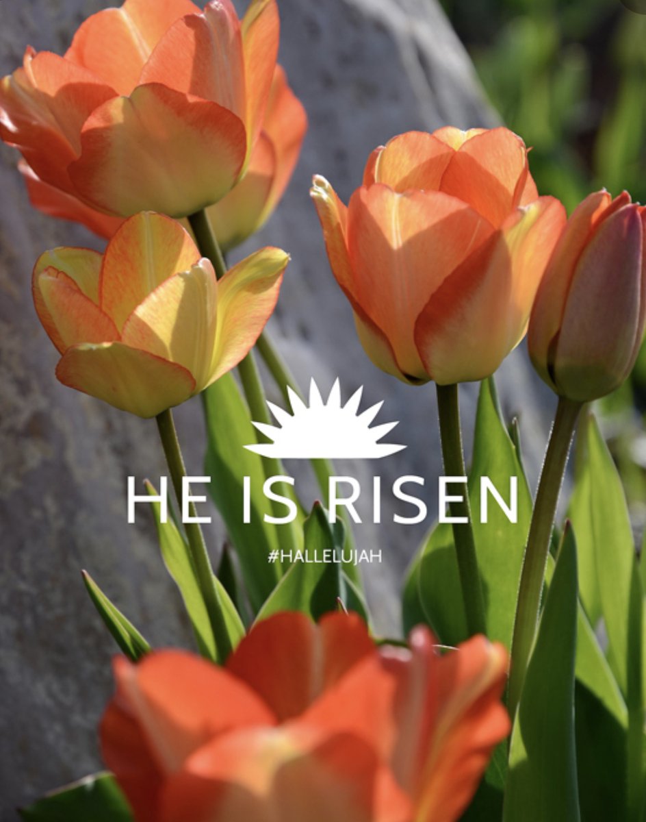 HirschiMasonry's tweet photo. From our Family to Yours... Happy Easter! https://t.co/5B1iESlDr0