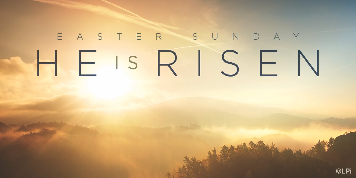 AndreaWD40's tweet photo. Happy Easter! 🙏🌷🐣 https://t.co/tmry9iSiRi