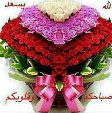 jaser ahmed (@jaseralard) on Twitter photo 