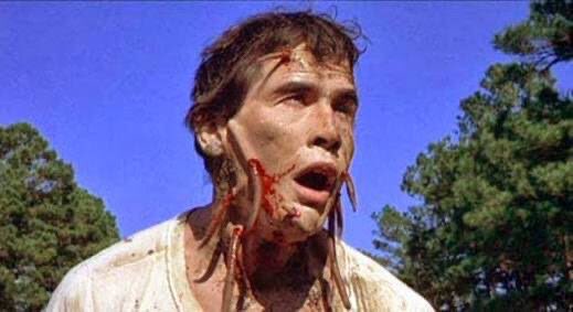No.11 「スクワーム」(1976年) 史上最悪の虫パニック映画。街にゴカイ