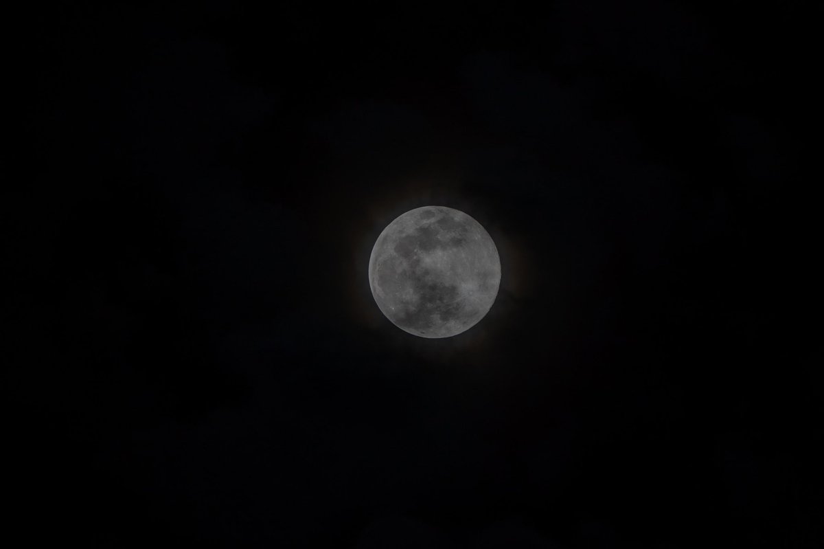 PushingTheLens tweet picture