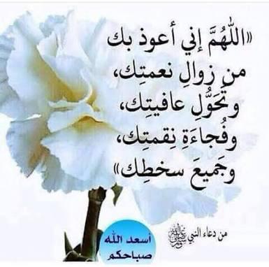 qpoegil2's tweet photo. هناك دعوات لا تقال بالصوت...ولكن تذرفها الدموع..
اللهم بعدد ماخلقت على وجهة الارض
وعدد ماخلقت في السماء
وعدد ماخلقت في اعماق البحر.
وعدد ماخلقت واخفيت عنا علمه 
ان ترفع عنا هذا البلاء
وتعمر بيوتك بالصلوات
اللهم اشتقنا لااصوات الصلاه في المنابر
#اسيرة_الصمتF https://t.co/cMsHrnFG0I