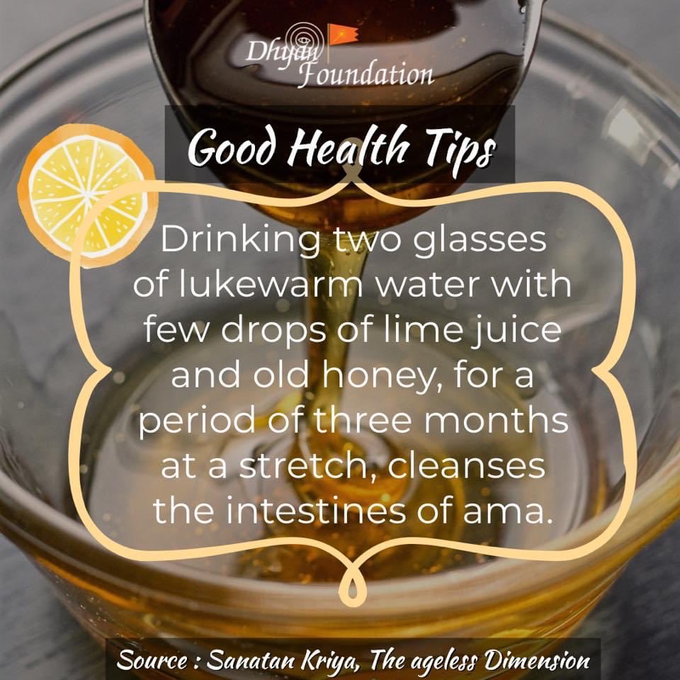 dhyanfoundation's tweet photo. #GoodHealthTips
Give a boost of detox to your body and reap the magical effects of this drink.
What is ama?
Ama, as per ayurveda, are the toxins which are produced in our body when the metabolism takes place, if not thrown out timely...
https://t.co/lj8RYFLWMD https://t.co/aGveHN6Rxe
