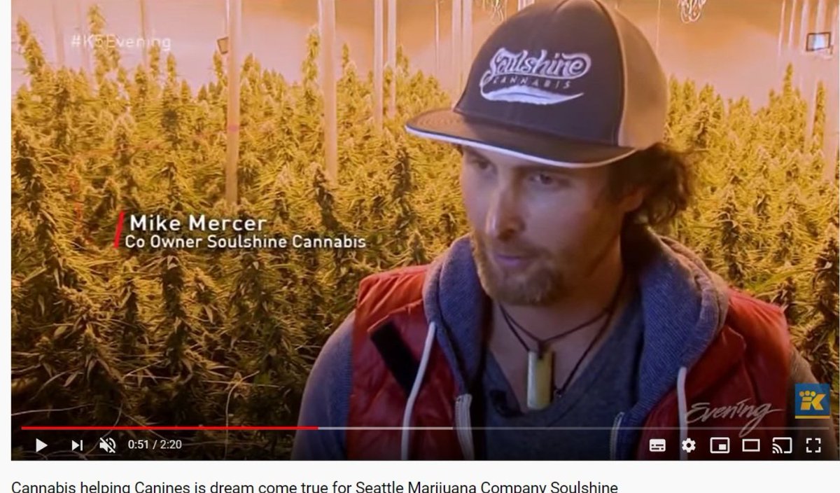 Sonic Science is listed as Online store but they have the address 400 Broad St, Seattle, WA 98109 is Space NeedleSean Lawson is the Account Manager @ Soulshine & is also listed on the Sonic Science website as a key employee  $GRNF  https://www.soulshinecannabis.com/locator/  https://sonicsciencecbd.com/about-sonic-science-cbd/