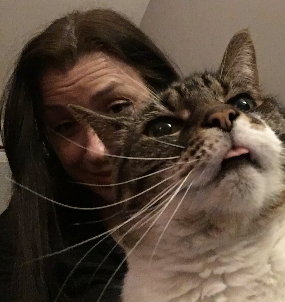 beaudoinceline's tweet image. Depuis qu’elle est bébé qu’elle oublie de rentrer sa langue, elle aura 14 ans le mois prochain et ça me fait encore rire😂. Selon sa vet, seuls les chatons  font ça!