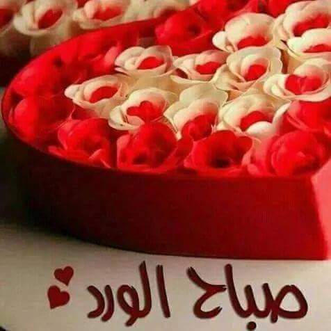 jaseralard's tweet photo. @aawash_ https://t.co/8yfQ7jNuvH