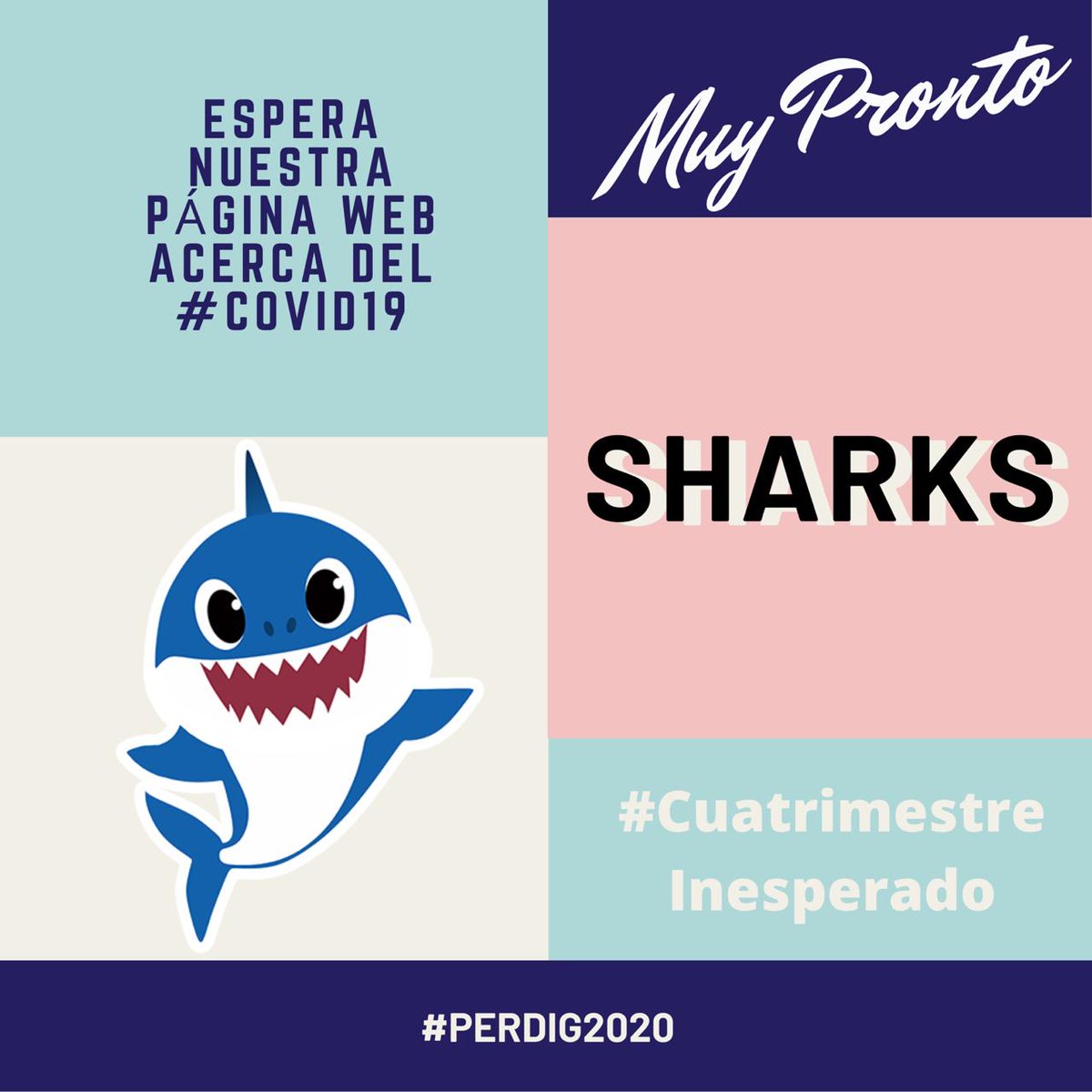 Caarlospinzzon's tweet image. REPLANTEANDO!!! @tareatuitera #perdig2020 #sharks #COVID19 @