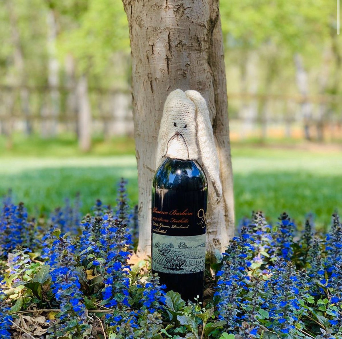 Our kind of Easter Bunny 🐰 #HappyEaster #EasterBunny