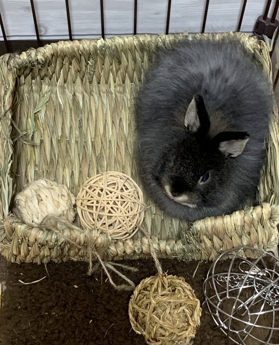 脱走癖 ট ইট র অন সন ধ ন