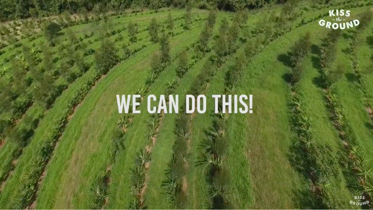 RedBirdWitWords's tweet photo. “Planting a garden has the power to change the world; EVEN YOU can do it,” @RonFinleyHQ. "During #WWII, people planted Home Victory Gardens... By 1944, nearly 1/2 of all fruits n veggies came from backyard gardens," @rosariodawson
JUST IMAGINE! You can do it too. @kissthegroundCA https://t.co/eViBlArx0x