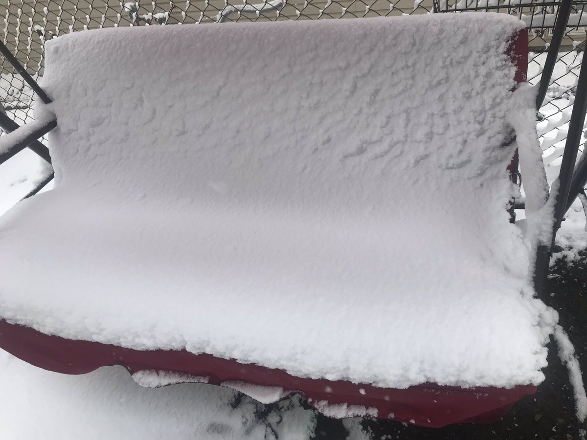 weather_star's tweet photo. Easter Egg Hunt On Max Difficulty #Easter #Easter2020 #EasterEggHuntChallenge #EasterEgg #HappyEaster #Snow #SnowStorm #snowballpower #MaxDifficulty #Expert #EasterBunny #SundayFunday https://t.co/Q7OUo7RBhG