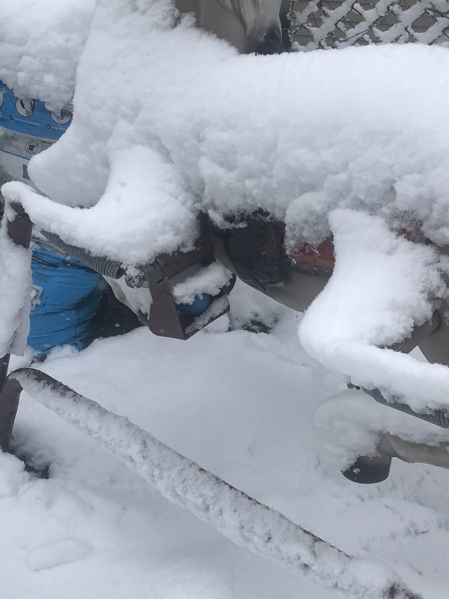 weather_star's tweet photo. Easter Egg Hunt On Max Difficulty #Easter #Easter2020 #EasterEggHuntChallenge #EasterEgg #HappyEaster #Snow #SnowStorm #snowballpower #MaxDifficulty #Expert #EasterBunny #SundayFunday https://t.co/Q7OUo7RBhG