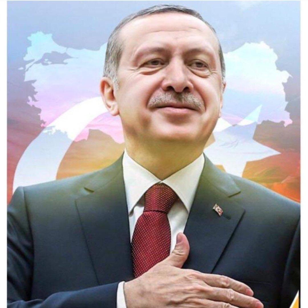 Lütfiye Selva Çam 🇹🇷 tweet media