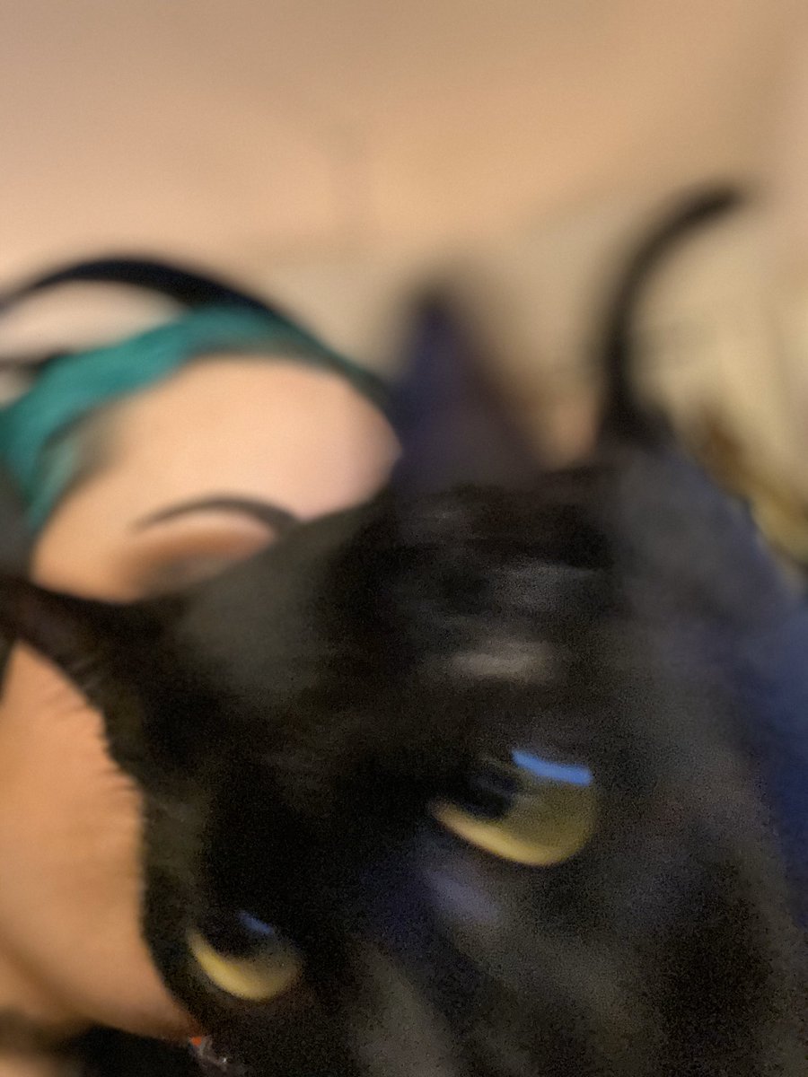 wisperii's tweet photo. I did my makeup for stream in a few minutes and decided to take a photo for Twitter. Here's how it turned out.
You're welcome.
#thetailsofcypher #warpaintgamer https://t.co/TwDjGPJgqq