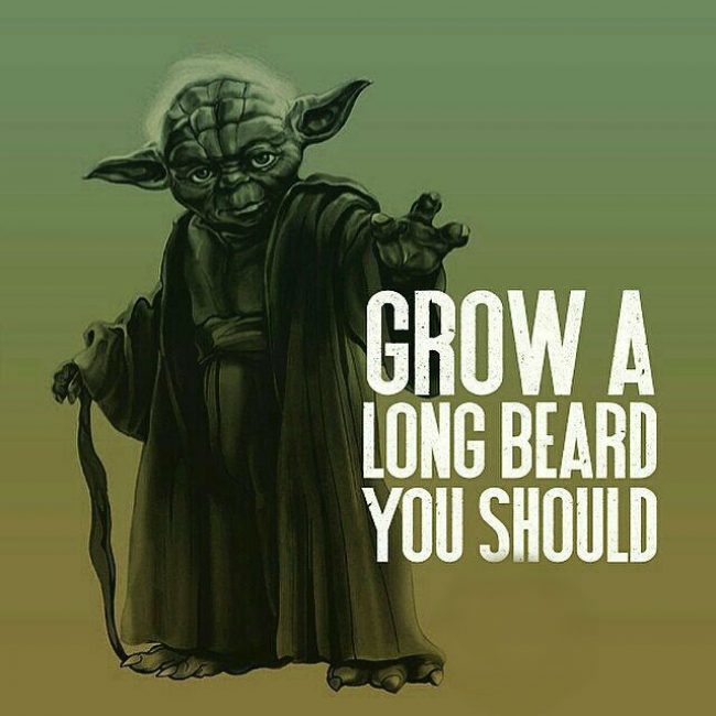 Live_Bearded's tweet photo. Grow A Long Beard You Should...💪💪
@beardedforever
@thebeardedniall
@timcrawford78
-
-
#beard #Brandon #beardhumor #beardhumor #beardlovers #horse #BloodOnHisHandsHannity #Diddy #beards #beardlover #beardlife #beardgang https://t.co/jmFcNsP9nv
