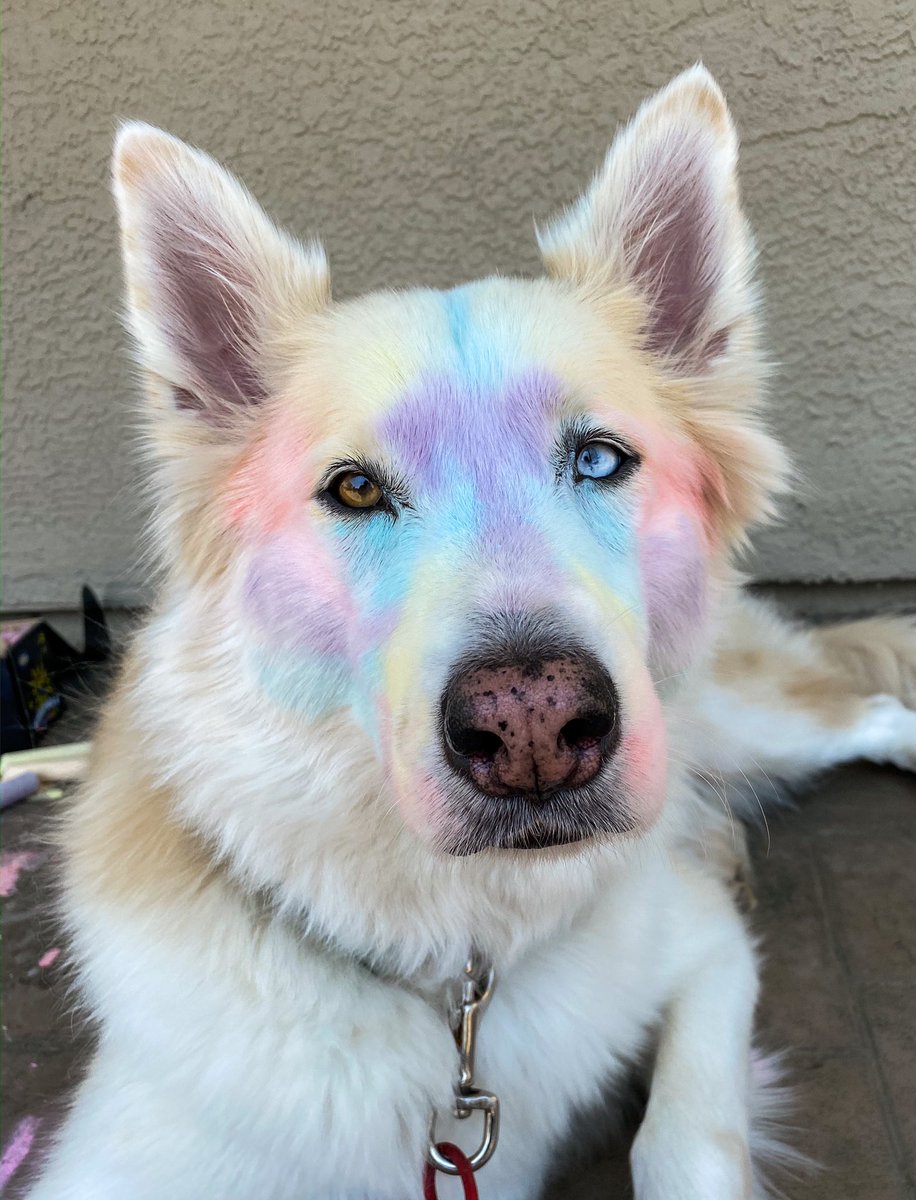 🌈