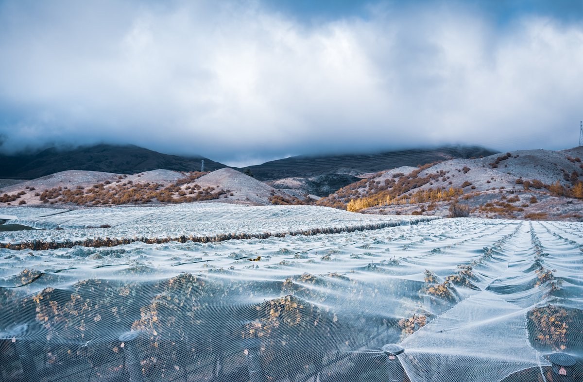 and more  @CentralOtago &  #BitsOfNewZealand  @PureQueenstown