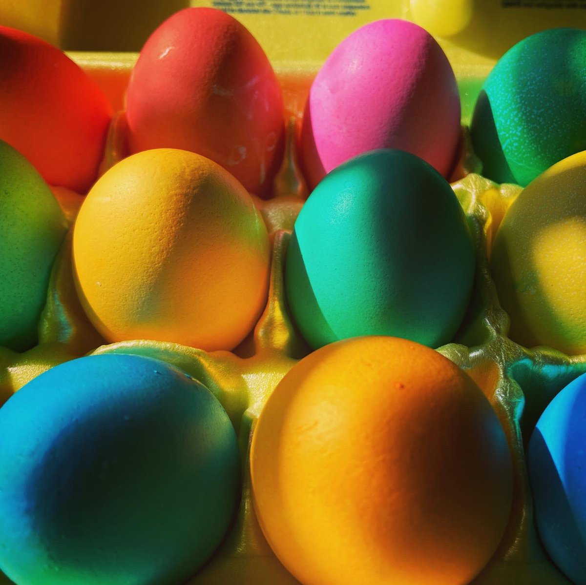 DanielleAlicea1's tweet photo. Happy Easter! 🐣🐇 https://t.co/UfbLsu92I8