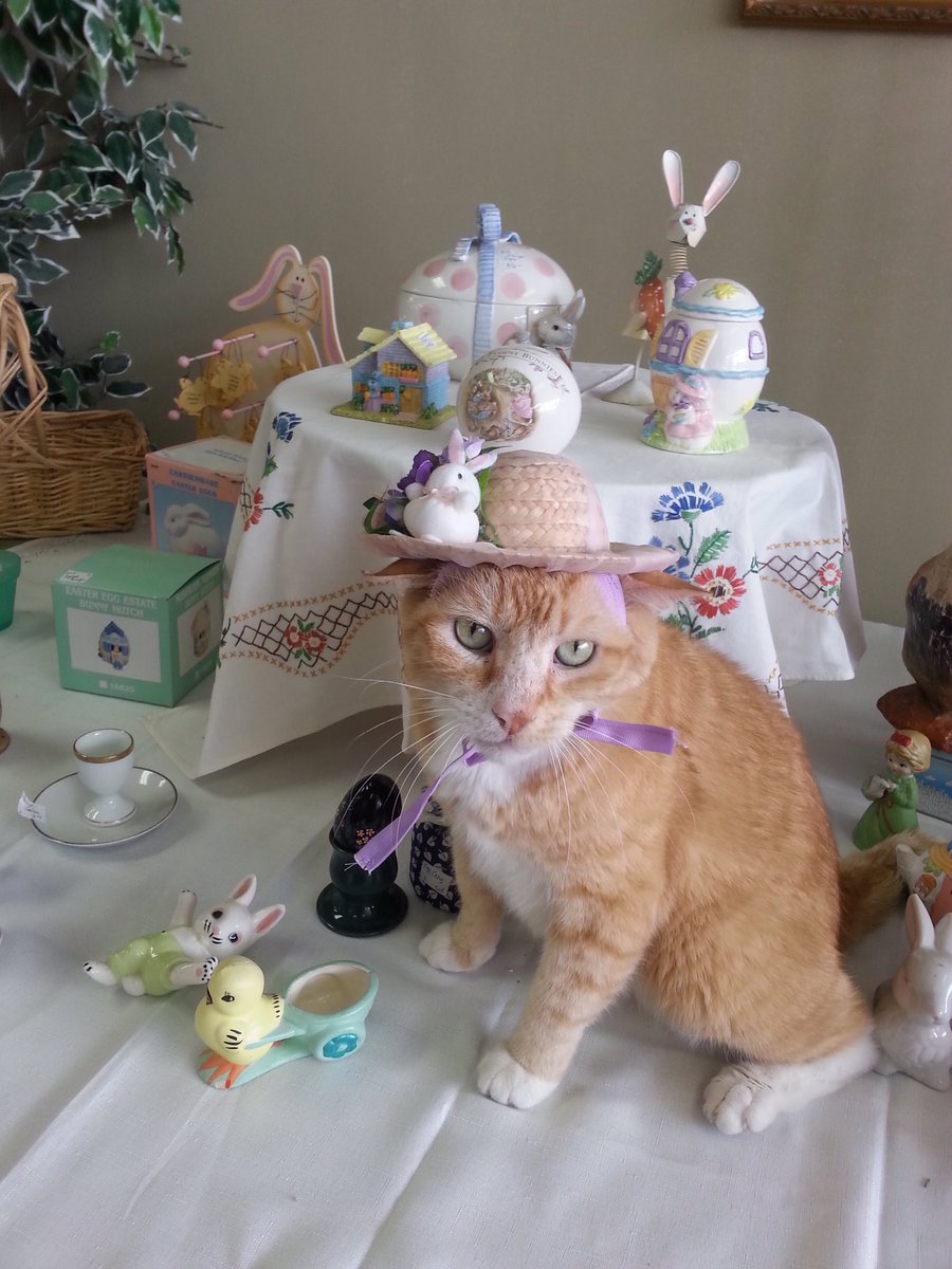 SpayMartCat's tweet photo. Throwback to Claude #alwaysappropriate https://t.co/R12J6W7zrL