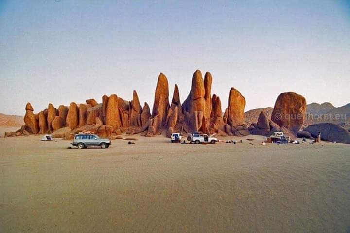 رفعا الله عنا الوباء والبلاء
تصبحون على خير