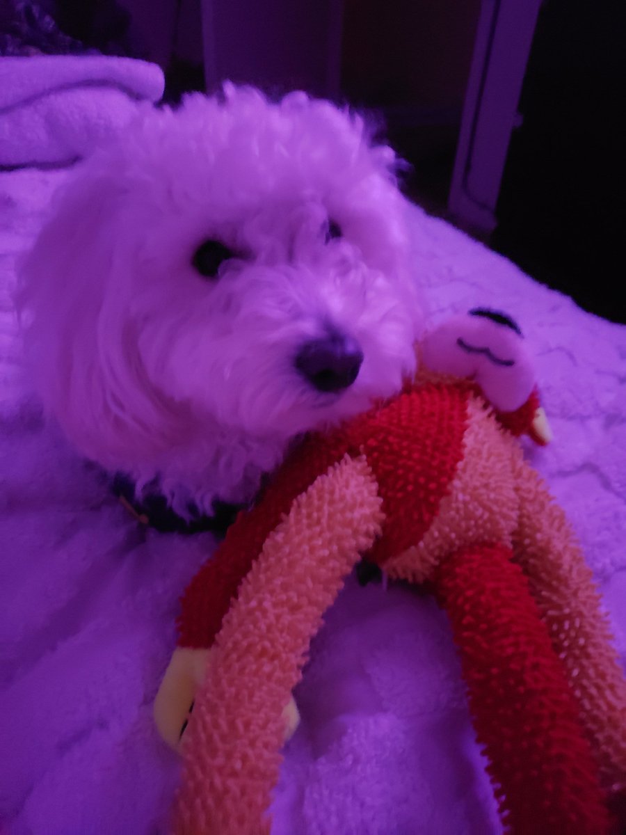 leannbeene's tweet photo. My sweetie... https://t.co/PzQxa2bUPp