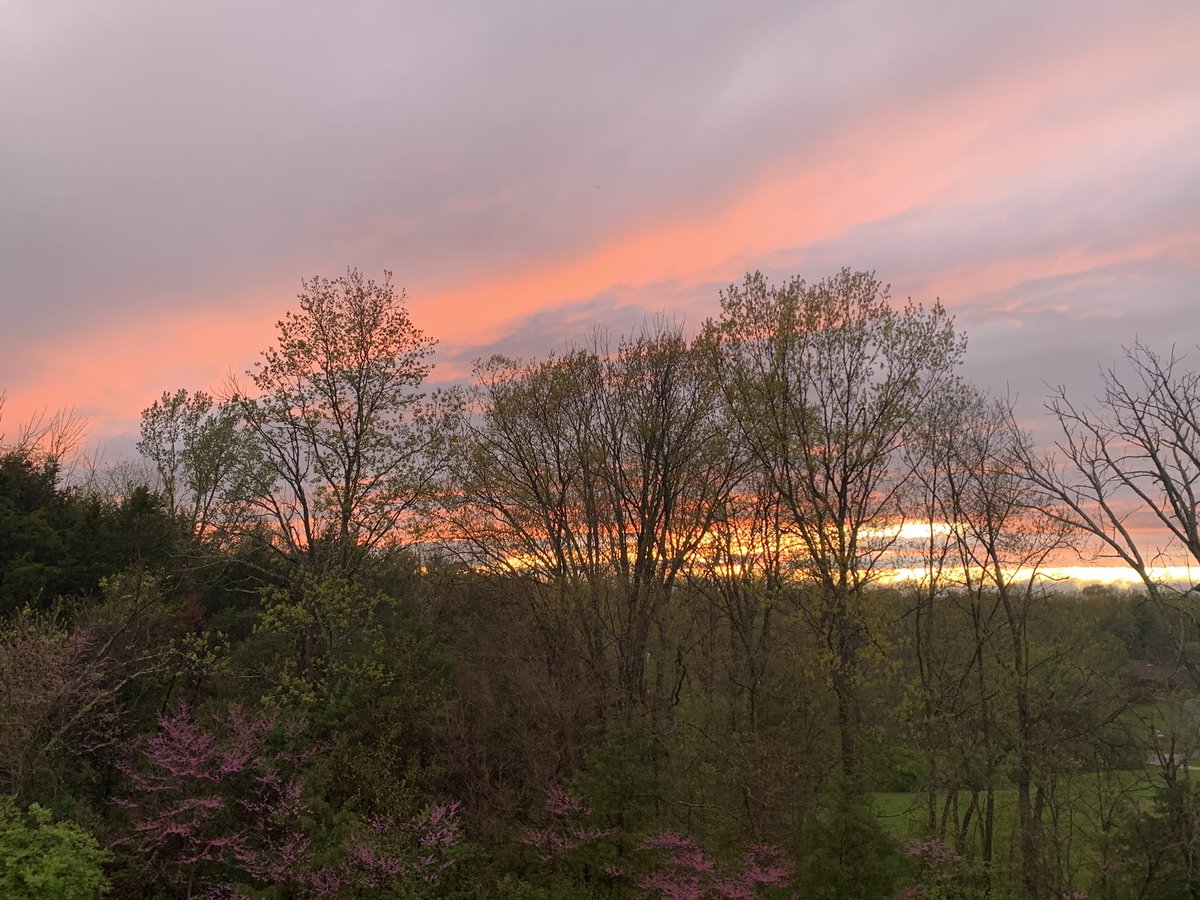 MichellePurlee's tweet photo. What beauty did you find or create on this Easter Sunday? Share 👇🏼👇🏼👇🏼 https://t.co/JiieXCXLGW