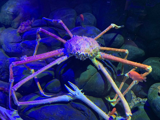 四国 水族館 場所