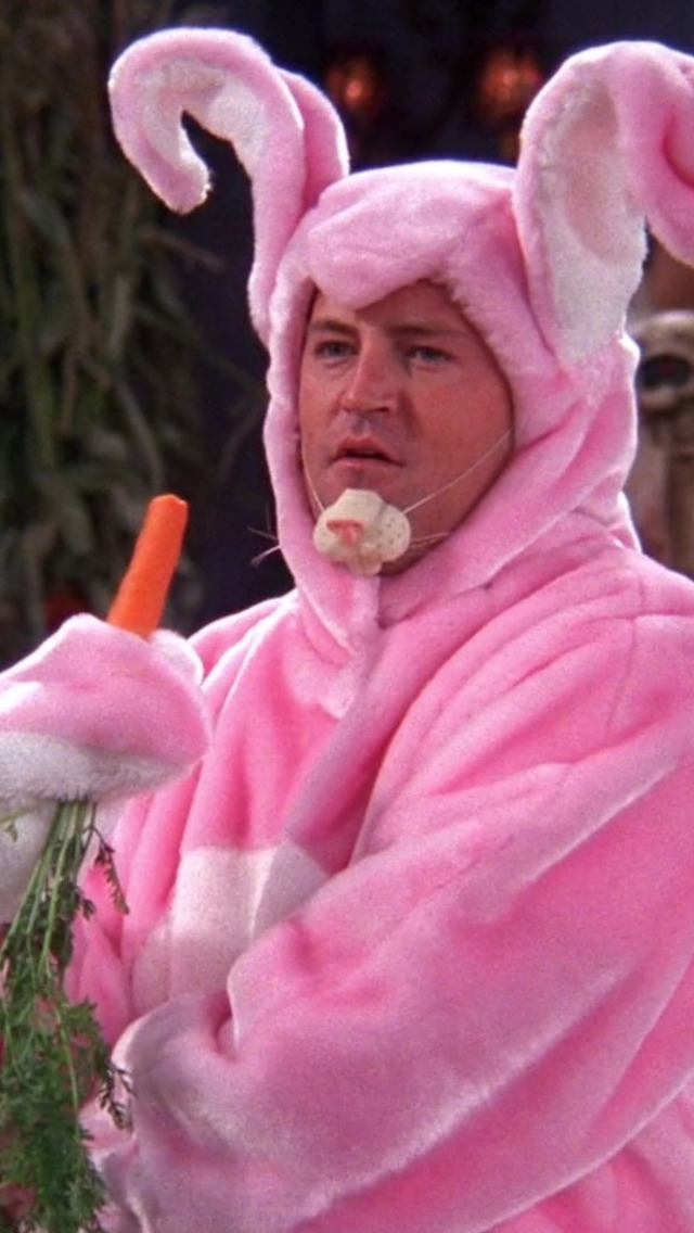 FriendsFans_Es's tweet photo. Nuestro conejo de pascuas favorito: Chanandler Bong <3 https://t.co/tFJOF0zhco
